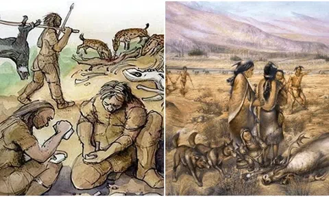 Tiết lộ lý do quan trọng khiến con người trở thành loài ăn tạp nhất Trái đất