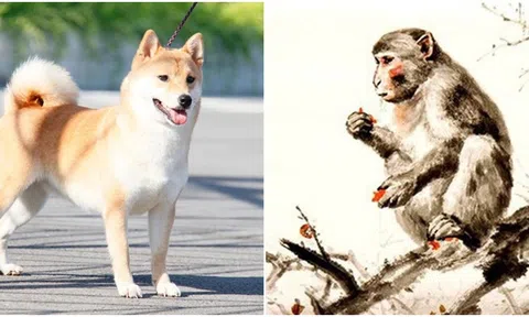 Trong thời gian tới, mọi chuyện sẽ suôn sẻ, vận khí tốt đẹp với 4 con giáp sau