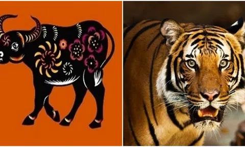 Ba ngày tới, 3 con giáp có tài lộc dồi dào, gặt hái được nhiều thành công trong sự nghiệp và tình yêu