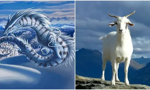 Bước sang năm 2024, 3 con giáp sau đạp trúng mỏ vàng, tài lộc rủng rỉnh, 1 con giáp đen đủ đường