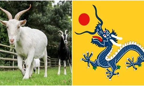 Bắt đầu từ ngày 21/12, vận may sẽ đến với 4 con giáp này, mọi việc thuận buồm xuôi gió