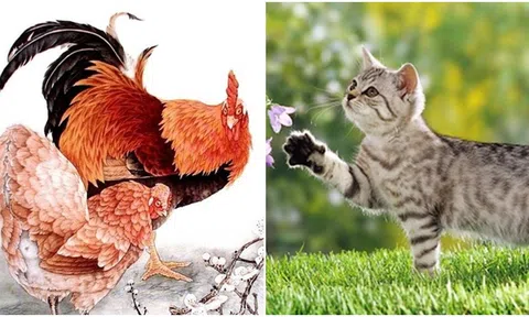 Ngày mai 24/12, 3 con giáp sau vận may bùng nổ, tiền đếm mỏi tay