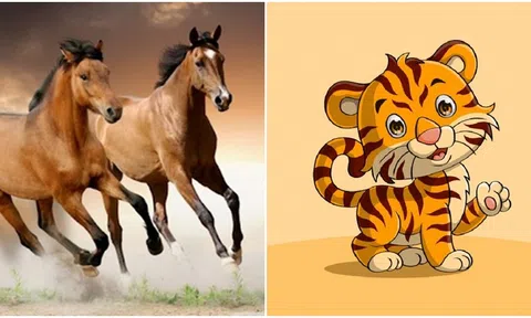 Bắt đầu từ ngày 28/12, 3 con giáp sẽ kiếm được nhiều tiền và gặp may mắn, tài lộc đến bất ngờ