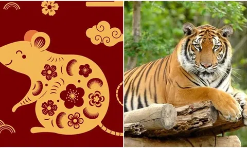 Từ ngày 4/1, vận may của 4 con giáp này sẽ tăng trưởng: Tăng lương, tăng lương, tình yêu thăng hoa
