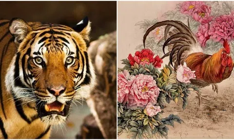 Sang tuần mới, 3 con giáp này sẽ gặp vận may lớn, chuyển bại thành thắng