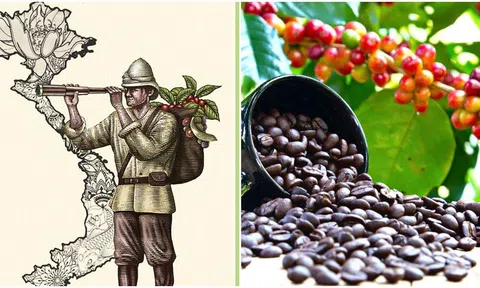 Ai là người mang cây cà phê đầu tiên về Việt Nam?