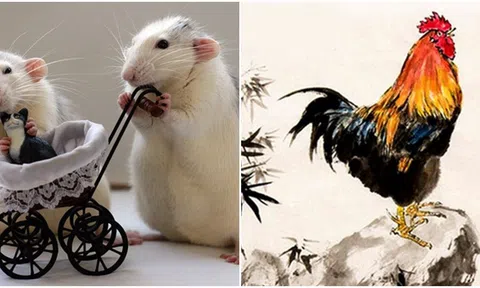 3 con giáp có hôn nhân hạnh phúc nhất: Sau khi lấy chồng không phải làm việc nhà lại được chồng yêu thương