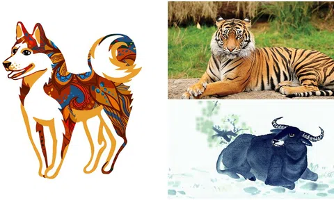 Từ 15/1, vận mệnh của 4 con giáp sẽ đạt đến đỉnh cao, vận may thăng hoa và nối lại tình cũ