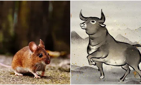 10 ngày tới, không gì có thể ngăn cản tài lộc đến với 4 con giáp này, vận rủi sẽ hoàn toàn tiêu tan