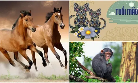 Năm 2024, 3 con giáp sẽ phát tài, may mắn đủ đường, chỉ 1 con giáp không cách nào thoát khỏi đen đủi