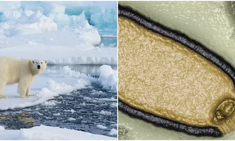 Các nhà khoa học cảnh báo virus zombie có thể gây ra đại dịch mới đáng sợ