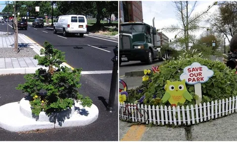 Bí mật bên trong công viên chỉ có duy nhất 1 cái cây