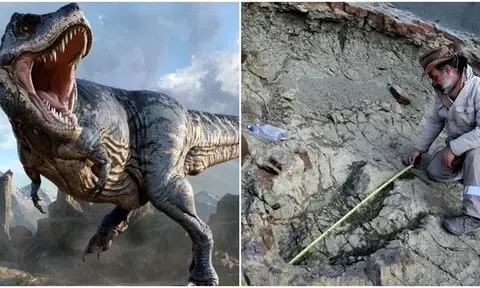 Cận cảnh dấu chân khủng long khổng lồ từ hàng trăm triệu năm trước dưới lòng sông