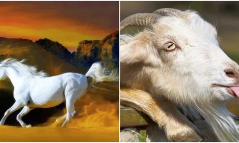 Từ ngày 25/1, 4 con giáp vận trình hanh thông, nắm bắt cơ hội nhanh chóng giàu có