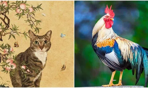 7 ngày tới, 3 con giáp tràn đầy hạnh phúc, được Thần tài ban sự giàu có, thưởng tết đếm mỏi tay