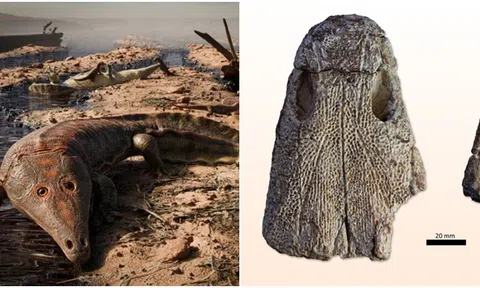 Cận cảnh loài thủy quái khổng lồ 249 triệu tuổi có khuôn mặt rùng rợn và dị biệt