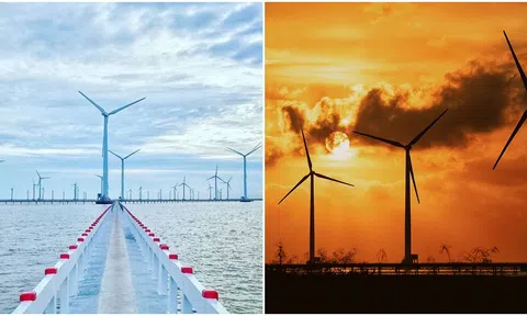 Cánh đồng điện gió duy nhất Việt Nam nằm trên biển, đẹp như trời Âu, trị giá 5.000 tỷ đồng