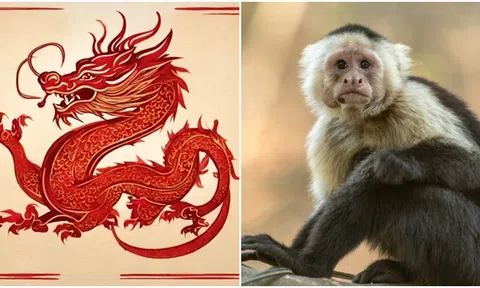 Đúng ngày mùng 1 Tết Nguyên Đán, 3 con giáp vô cùng may mắn, phát tài phát lộc