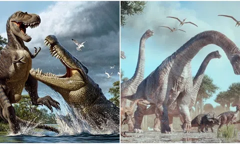 Khủng long thống trị trái đất không phải vì kích thước khổng lồ hay hàm răng đáng sợ mà vì 1 cách không ngờ tới