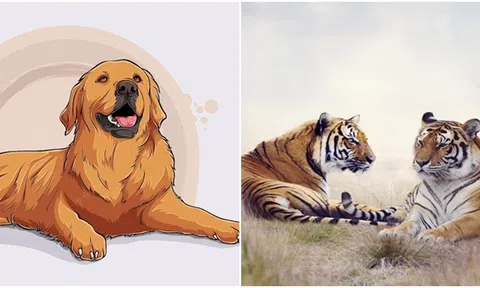 15 ngày tới, 3 con giáp tài lộc tăng vọt, có cơ hội trở thành triệu phú