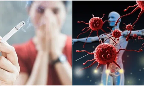 Hút thuốc lá có thể ảnh hưởng đến sức khỏe miễn dịch, thậm chí nhiều năm sau khi bỏ thuốc