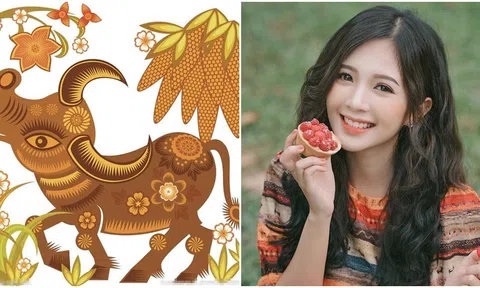 Vận mệnh người tuổi Sửu năm 2024: Nhiều biến động nhưng cũng có nhiều cơ hội mang lại tài lộc