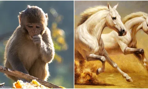 10 ngày tới, 3 con giáp có tài chính dồi dào, giàu có tự phát, cuộc sống thịnh vượng, mãn nguyện