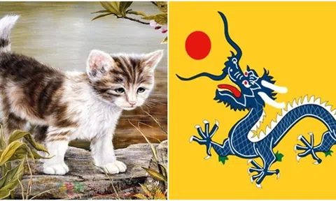 4 con giáp này nên chú ý tình hình sức khỏe trong năm 2024, đặc biệt là tuổi Tý