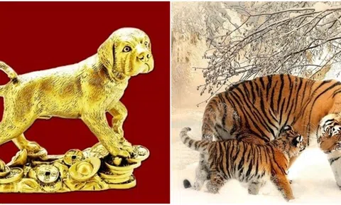 3 con giáp có đầu óc kiếm tiền tốt nhất, sự nghiệp thăng tiến, tình yêu ngày càng thăng hoa