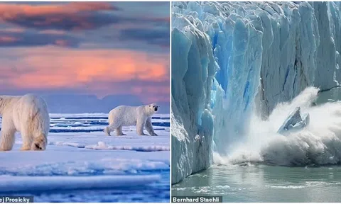 Bắc Cực có thể gần như không còn băng sau 10 năm tới, Trái Đất sẽ hứng chịu những đợt nắng nóng tàn phá