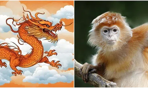 Bắt đầu từ ngày 12/3,  4 con giáp sẽ gặp vận may, có cả tài lộc lẫn danh vọng