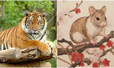 10 ngày tới, 3 con giáp vận khí phát đạt, sự nghiệp suôn sẻ, cuộc đời xoay chuyển