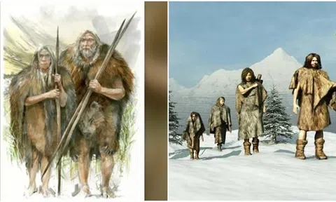 Con người bắt đầu mặc quần áo từ khi nào?