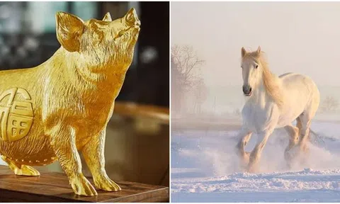 Từ ngày 18/3- 28/3, 3 con giáp vượt qua được hoàn cảnh tuyệt vọng, đón may mắn, giàu sang