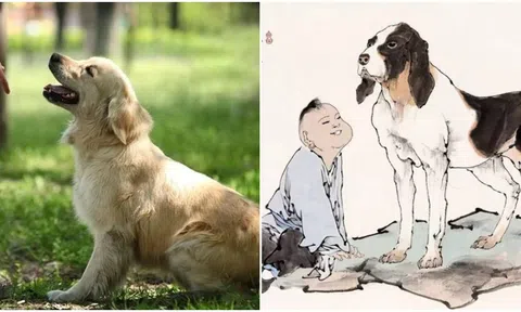 Các cụ xưa có câu ‘Đừng gọi chó khi no, đừng quá tốt với người’, ý nghĩa là gì?