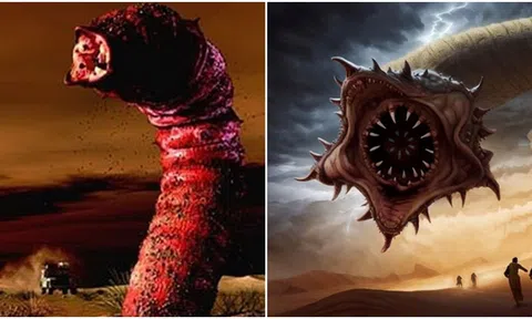 Bí ẩn về loài sâu là ác mộng của nhiều người, có thể giết chết người mà không cần cắn