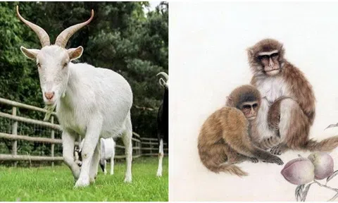 Sang tháng 4, 4 con giáp đón tin vui liên tiếp, được quý nhân phù trợ biến giấc mơ trở thành hiện thực