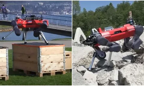 Kinh ngạc trước khả năng của robot lấy cảm hứng từ chó