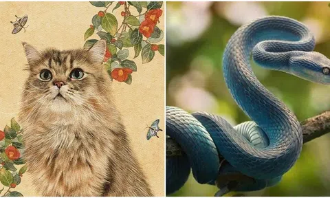 Đúng ngày 24/3, 3 con giáp đón niềm vui bất ngờ, vận may liên tục ập đến mang lại tiền tài rủng rỉnh