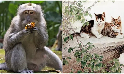 Vận may tình duyên đang đến, 3 con giáp có thể gặp được tình duyên đích thực