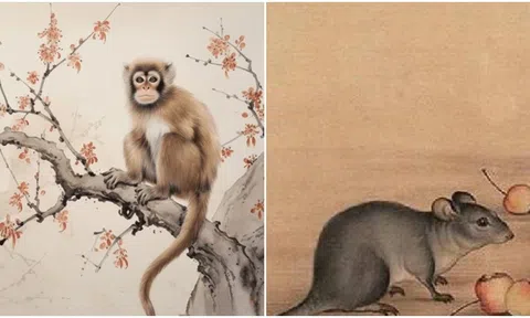 Bước sang tháng 4, 4 con giáp bước vào thời kì hoàng kim, vận may gia tăng, nguồn tài chính dồi dào