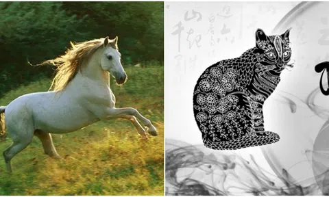 Trong 10 ngày tới, 3 con giáp sẽ gặp nhiều may mắn, có thể gặp được định mệnh 1 cách tình cờ