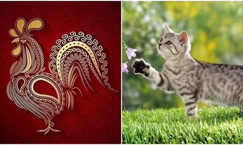 Vận may của 12 con giáp ngày 30/3, 3 con giáp nào gặp nhiều may mắn nhất?