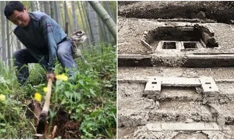 Ông lão đào măng phát hiện ra đống cổ vật, bán với giá vài triệu đồng nào ngờ lại là báu vật quốc gia