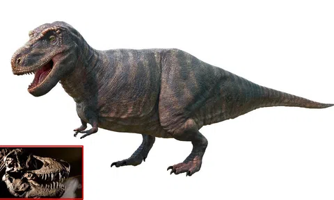 Tiết lộ sự thật và hình ảnh về vua khủng long