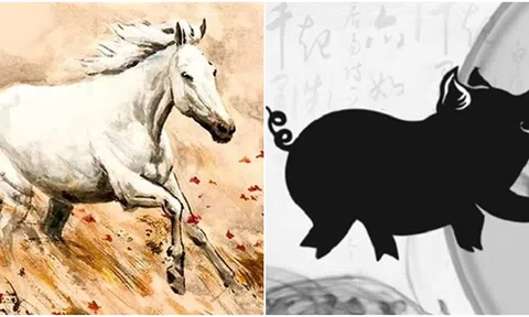 Trong 3 tháng tới, 4 con giáp sẽ gặp nhiều may mắn về tài chính, đà phát triển sẽ tiếp tục đến cuối năm