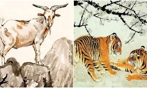 4 con giáp sinh ra đại tài, phú quý cả đời sẽ không bao giờ thoát khỏi sự giàu có, vinh quang