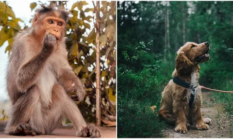 Bắt đầu từ ngày 15/4, 4 con giáp sẽ lội ngược dòng, lật ngược tình thế, sự nghiệp và tình duyên thăng hoa