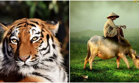 3 con giáp may mắn nhất trong tháng 5: Sự nghiệp phát đạt, thần tài gõ cửa