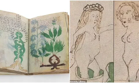 Vén màn bí ẩn bên trong quyển sách chứa đựng bí mật tình dục thời Trung cổ